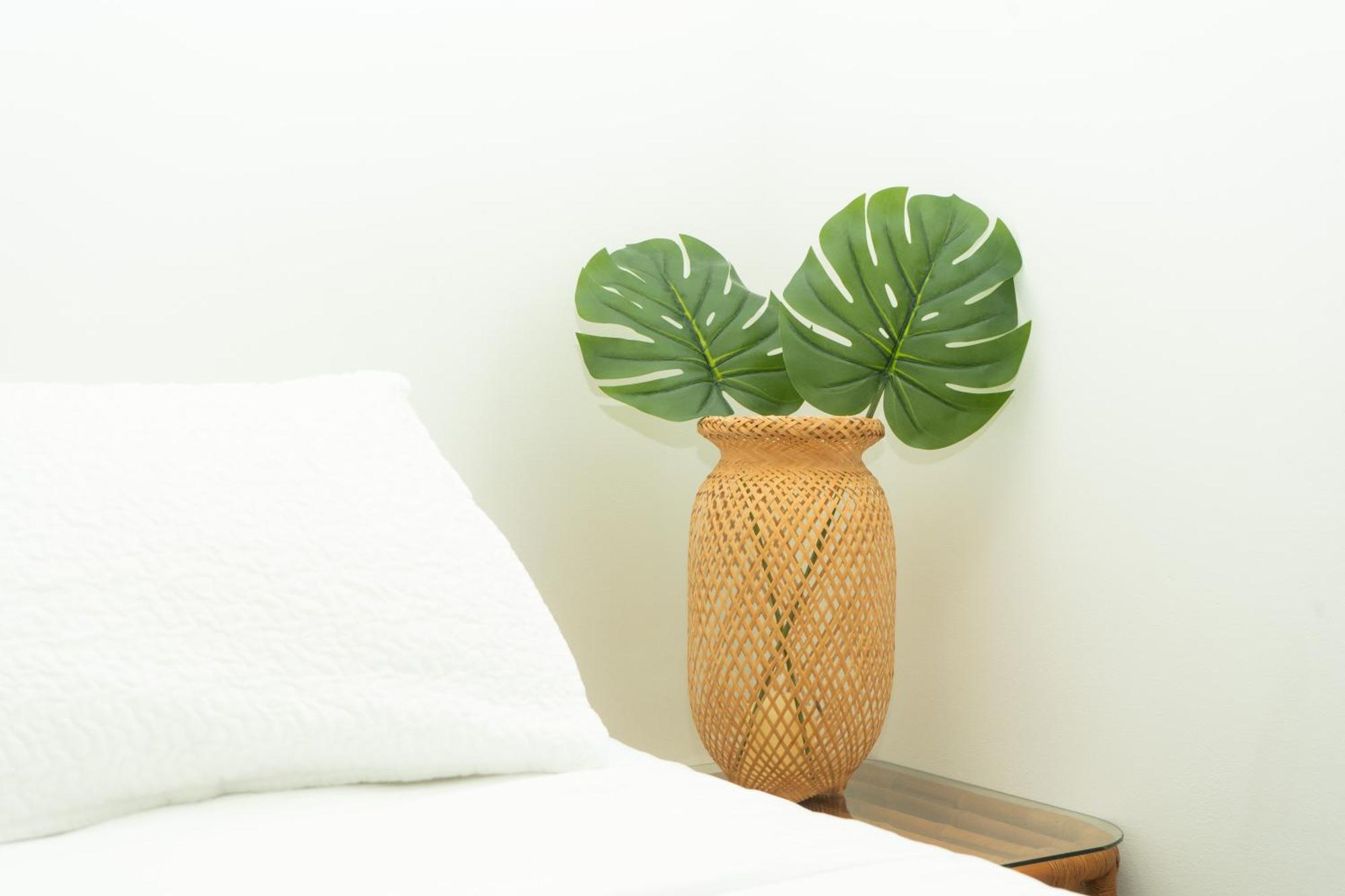 Puesta Del Sol Guest House San Andrés Eksteriør bilde